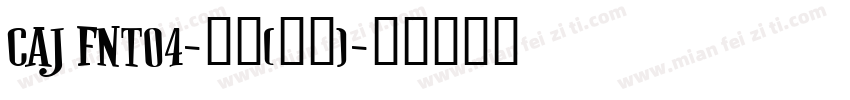 CAJ FNTO4-普通(西方)字体转换
